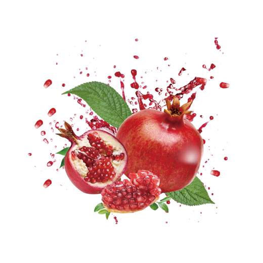 Buah Naga Local (± 50 gm)